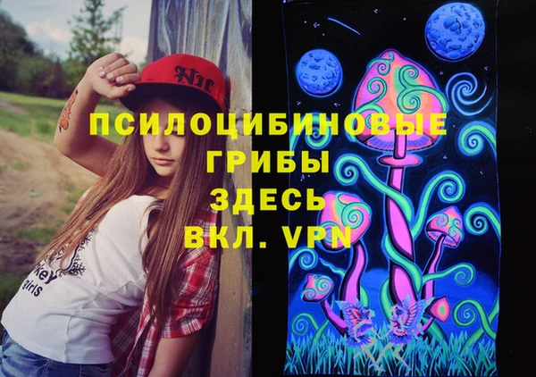 тгк Алексеевка
