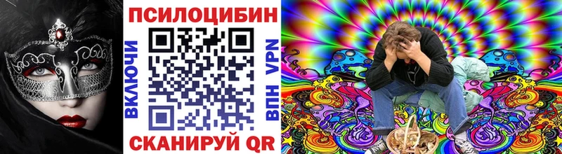 купить   Томск  кракен вход  Псилоцибиновые грибы ЛСД 